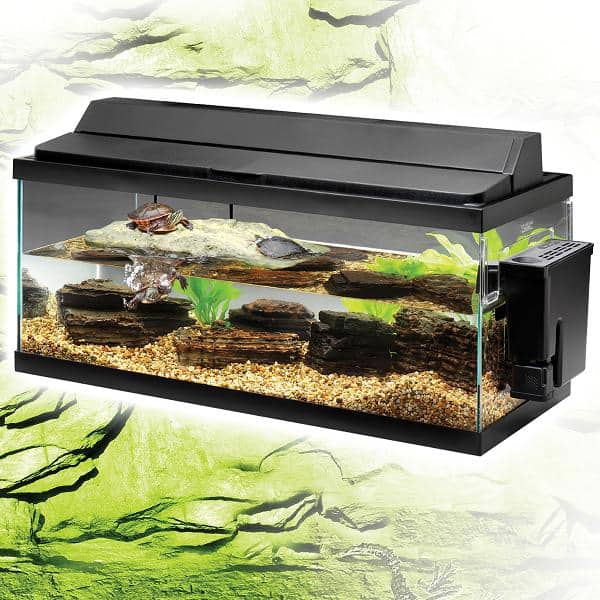 Check out this great turtle home from the If Pets Ruled the World Store!