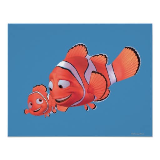 types of fishes in finding nemo