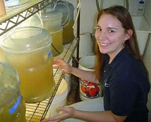 Fun with vats of sea monkeys