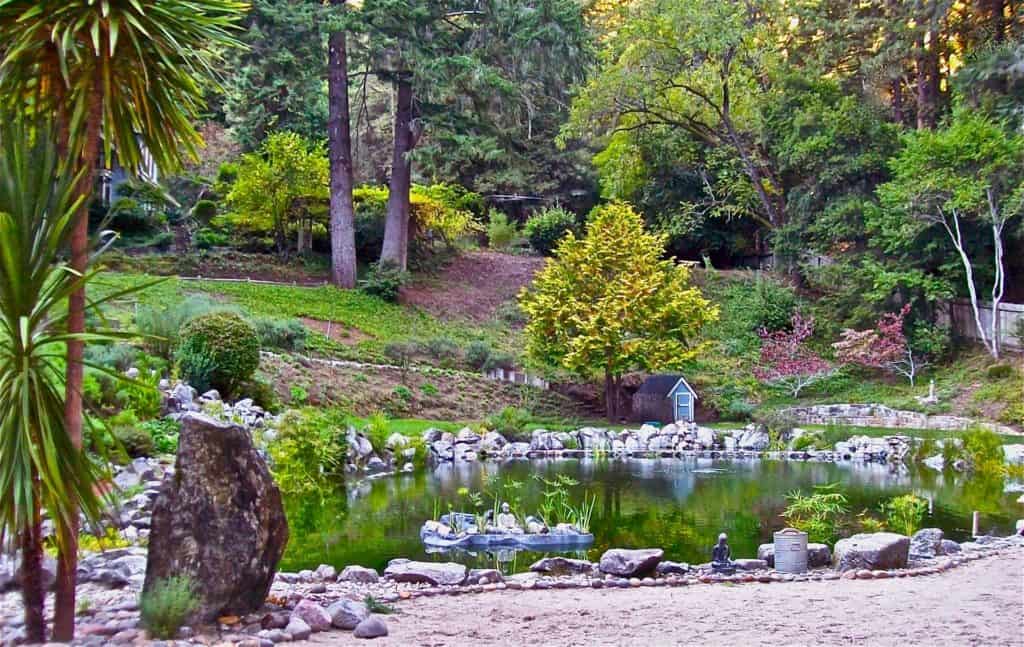 a small pond surrounded by trees and rocks.