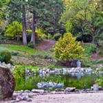 a small pond surrounded by trees and rocks.