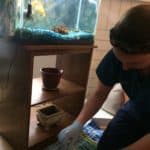 a woman in a blue shirt is cleaning a fish tank.