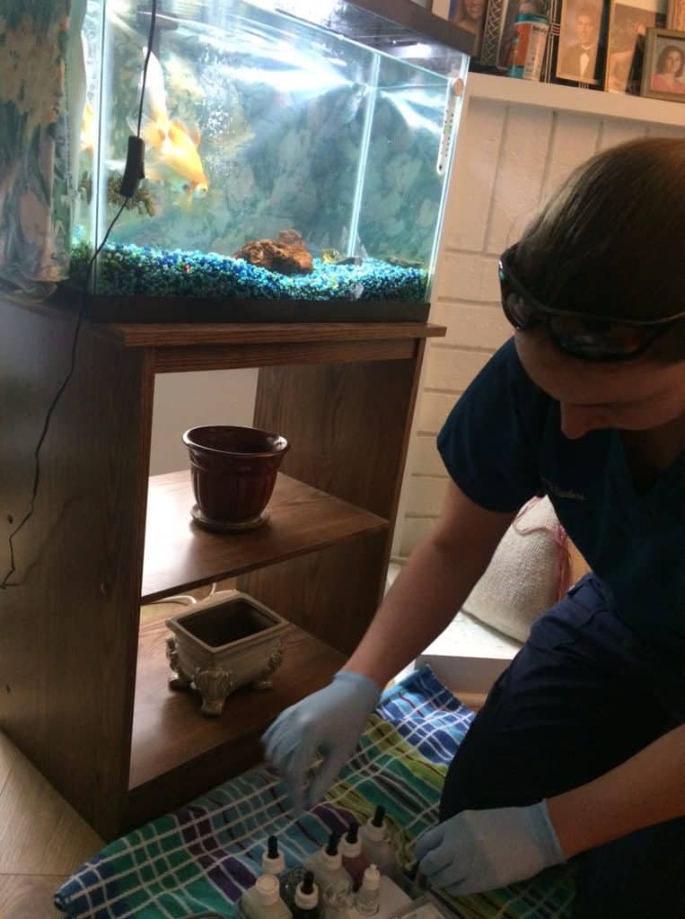 a woman in a blue shirt is cleaning a fish tank.