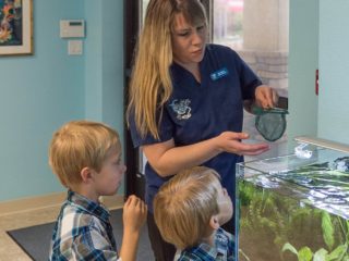 a woman and two children looking at a fish tank.
