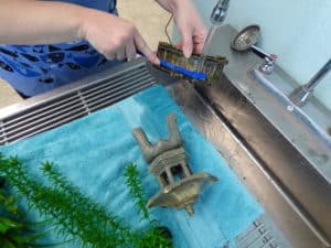 Fish poop collector DIY, Aquarium siphon DIY, Aquarium filter DIY