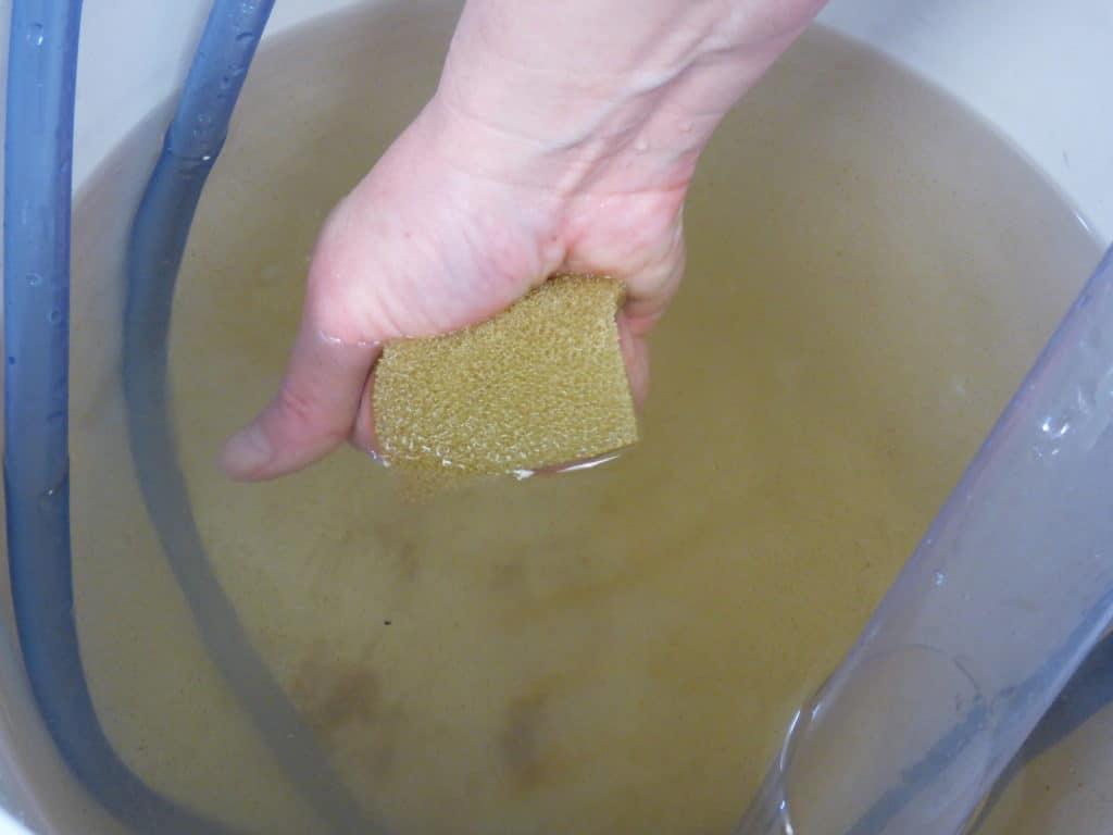 a person cleaning a bucket with a sponge.