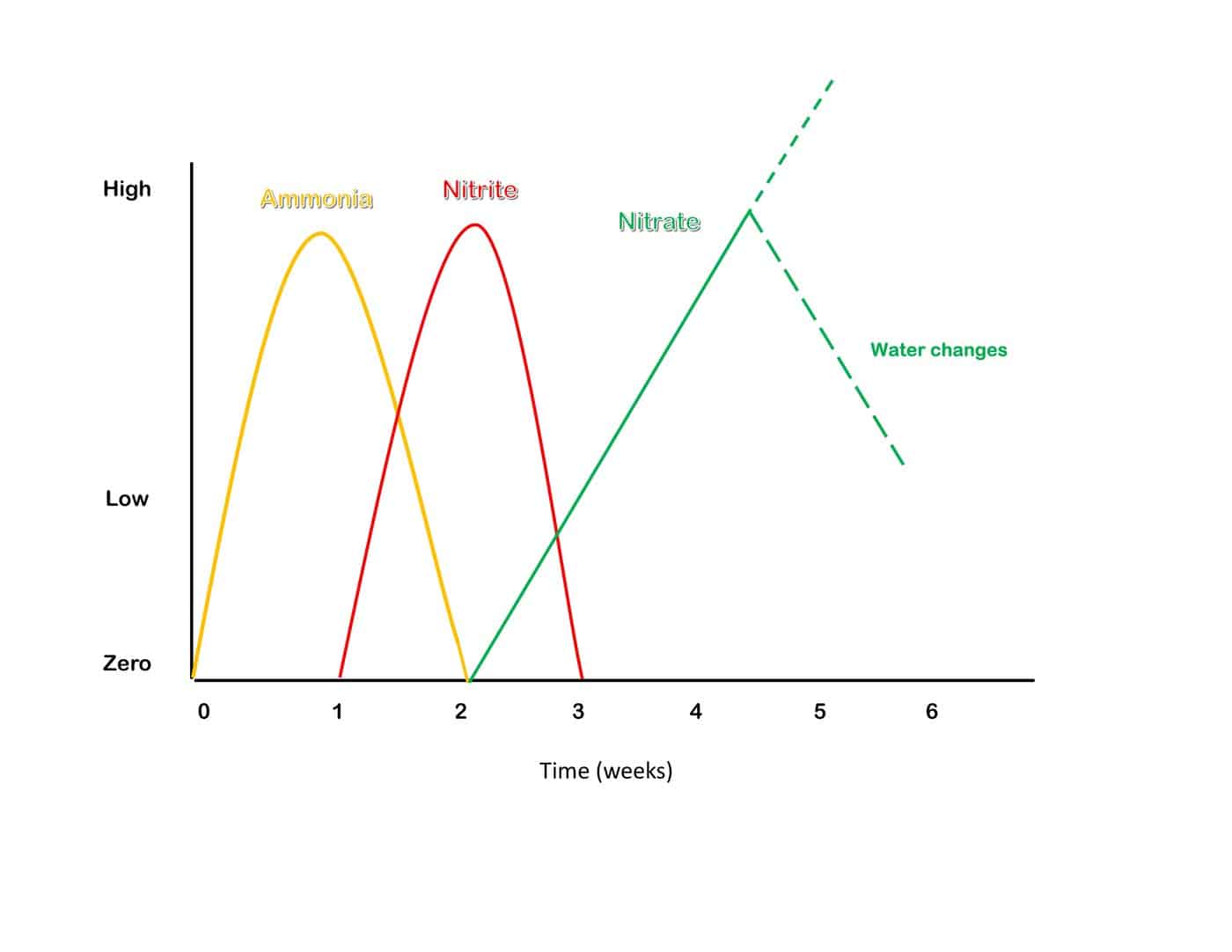 nitrogen-diagram – Aquatic Veterinary Services