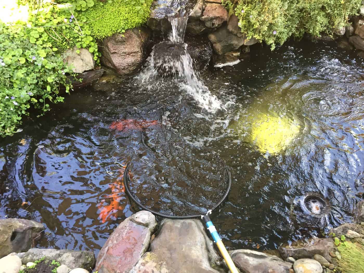 The right combination of filter material for a healthy pond
