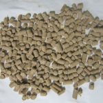 fish food pellets