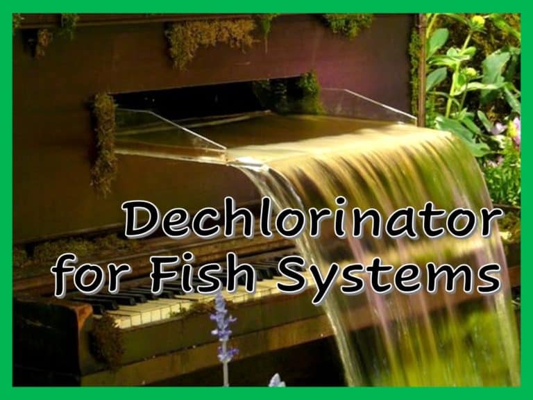 Dechlorinator for Fish Systems How to NOT Kill Your Fish Fish Vet