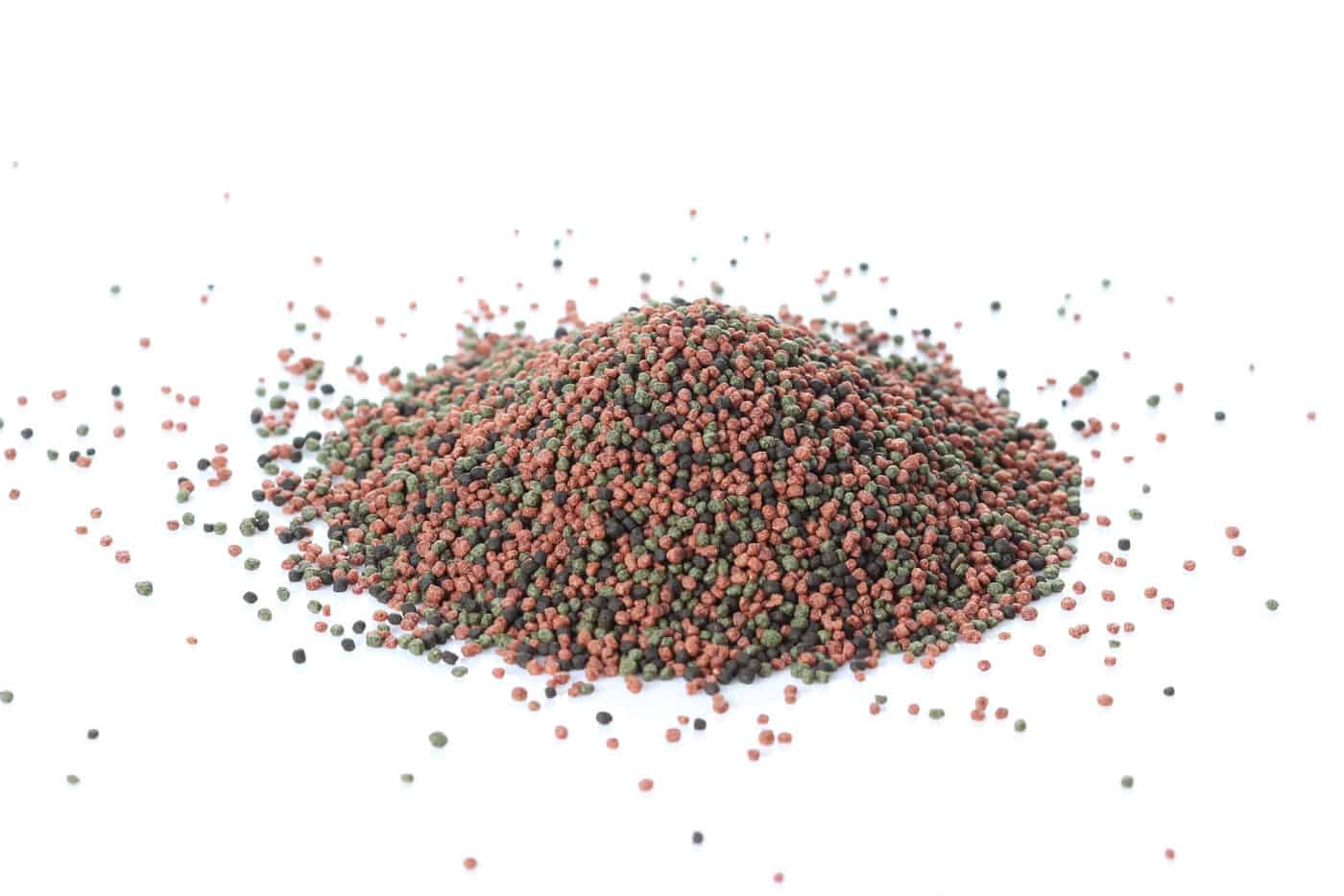 fish food pellets