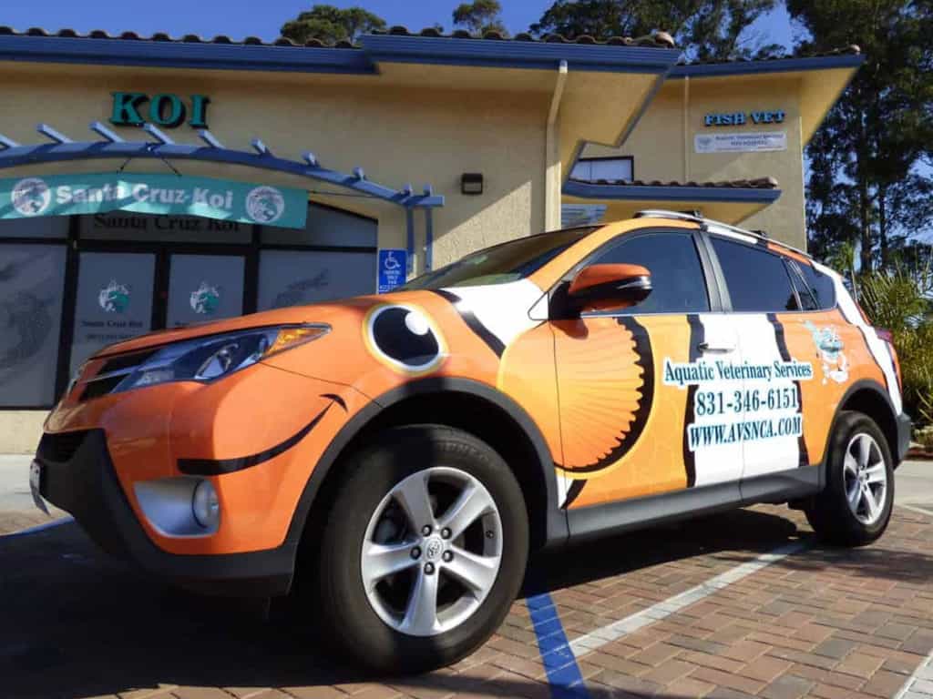 mobile fish vet car fish veterinarian service car