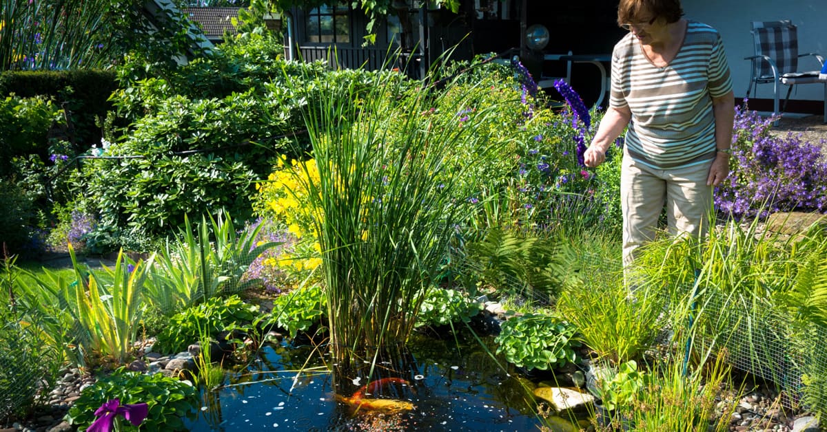 woman with koi pond