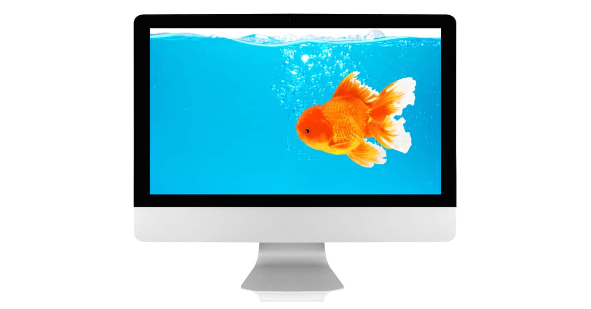 Aquatic Telehealth Consultation