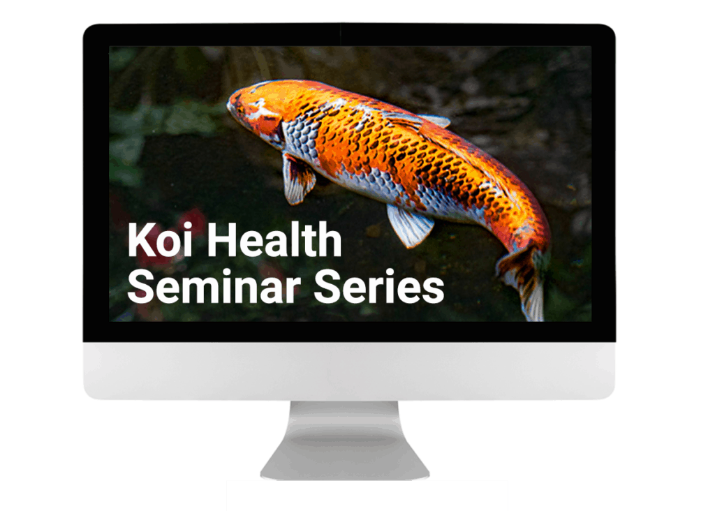 Koi Health Siminar