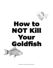 how not to kill your goldfish cover