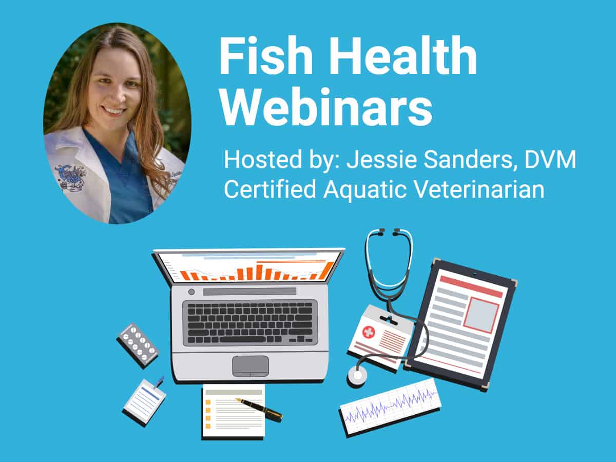 Fish Health Webinars