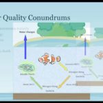 water quality conundrums signs of common conundrums.