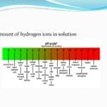 a diagram of hydrogens in the water.