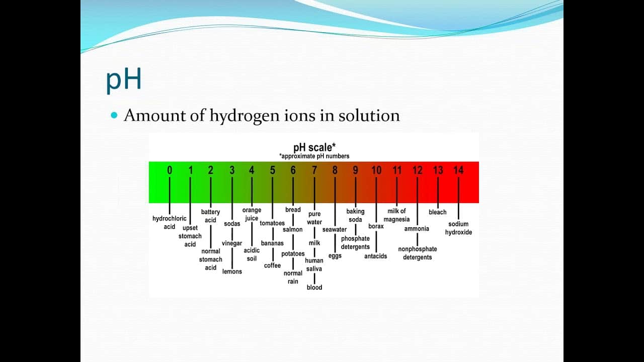 Water Quality For Fish Owners - Fish Vet