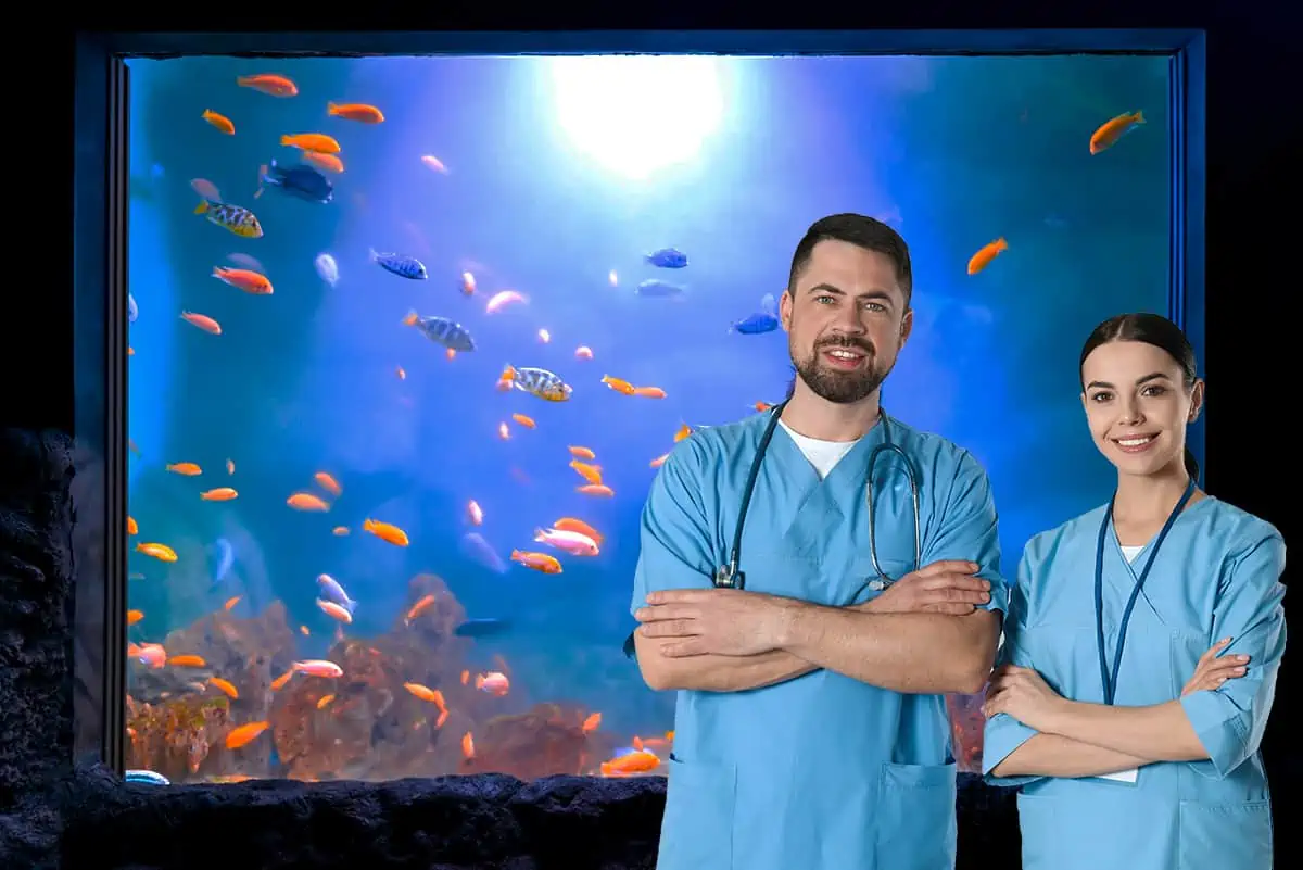 a man and a woman standing in front of a fish tank.
