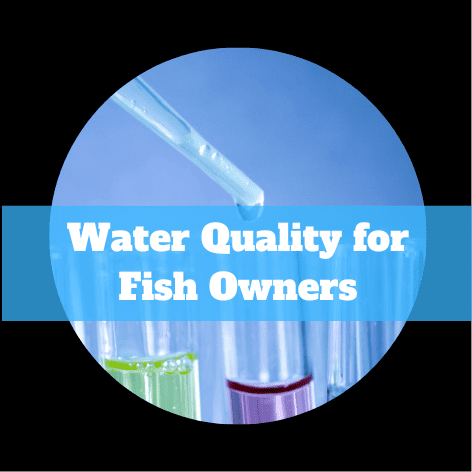 Water quality for fish owners.