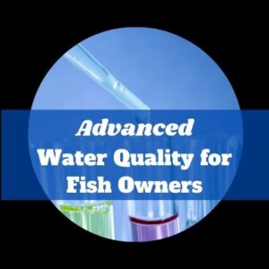 Advanced water quality for fish owners.