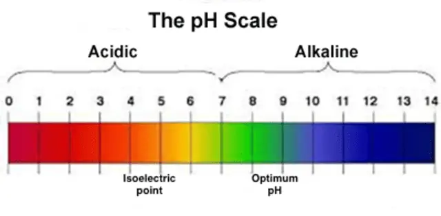 Understanding the fish tank pH scale