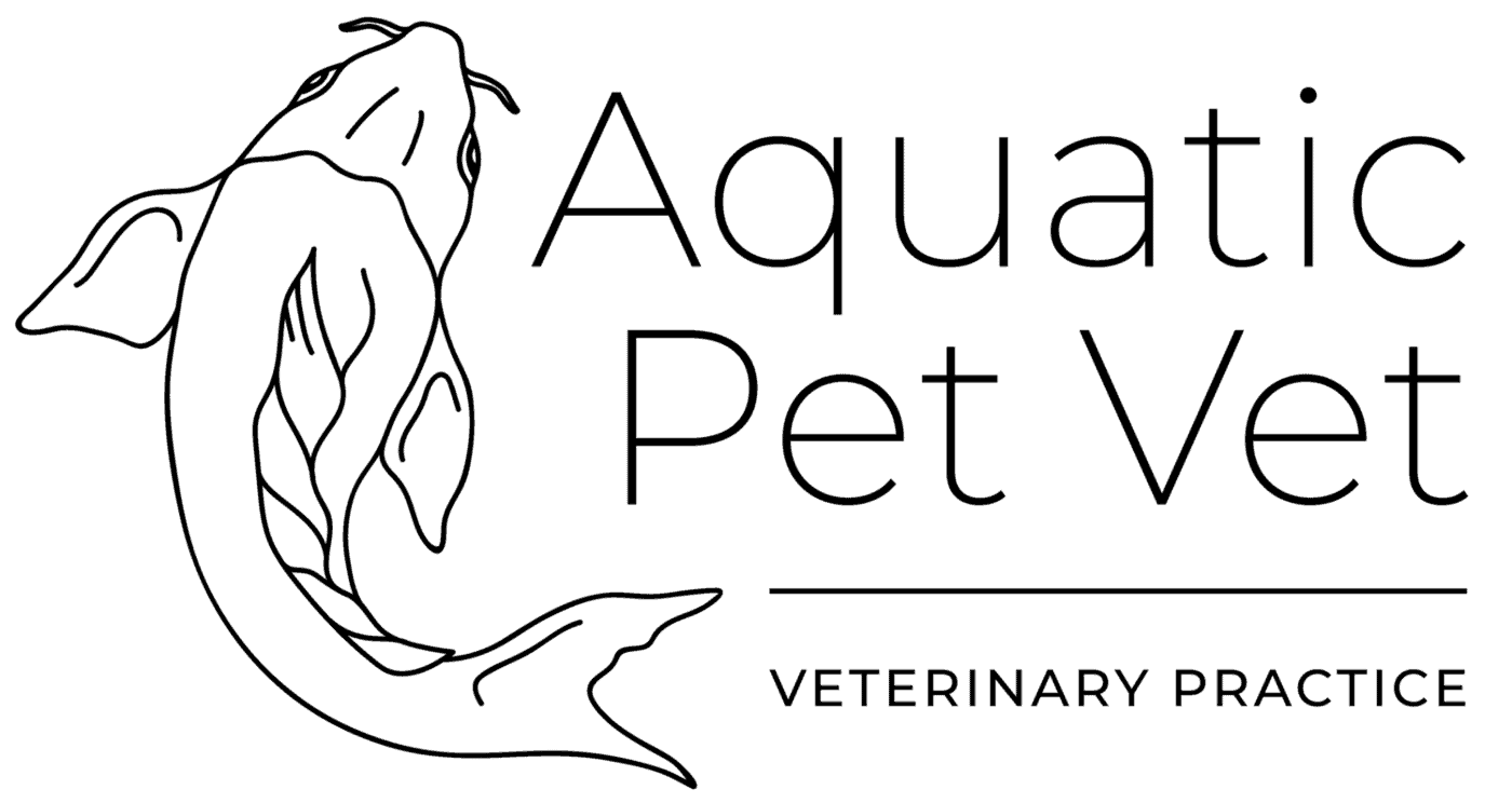 The image is completely black, indicating that it could be a placeholder, an error, or intentionally representing darkness or nothingness related to aquatic veterinary services.