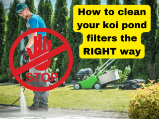 Person pressure washing an outdoor surface with a "STOP" sign overlay and text reading "cleaning koi pond filter the RIGHT way, ensuring your koi pond stays pristine.