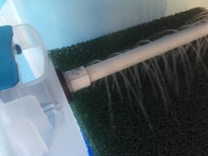 A white pipe is spraying water onto a green koi pond filtration mat.