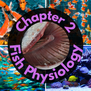 Collage of fish images with text "Chapter 2 Fish Physiology" overlaying a central close-up of gills.