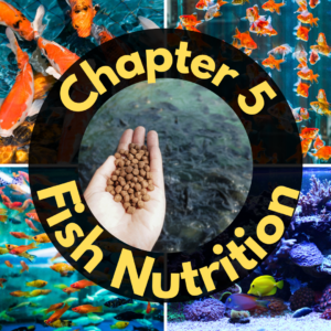 Hand holding fish food pellets with images of various fish and text: "Chapter 5 Fish Nutrition".