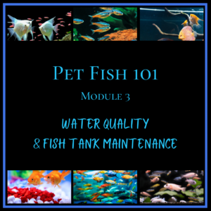 Collage of various fish images surrounding a black text area with the heading "Pet Fish 101, Module 3, Water Quality & Fish Tank Maintenance.